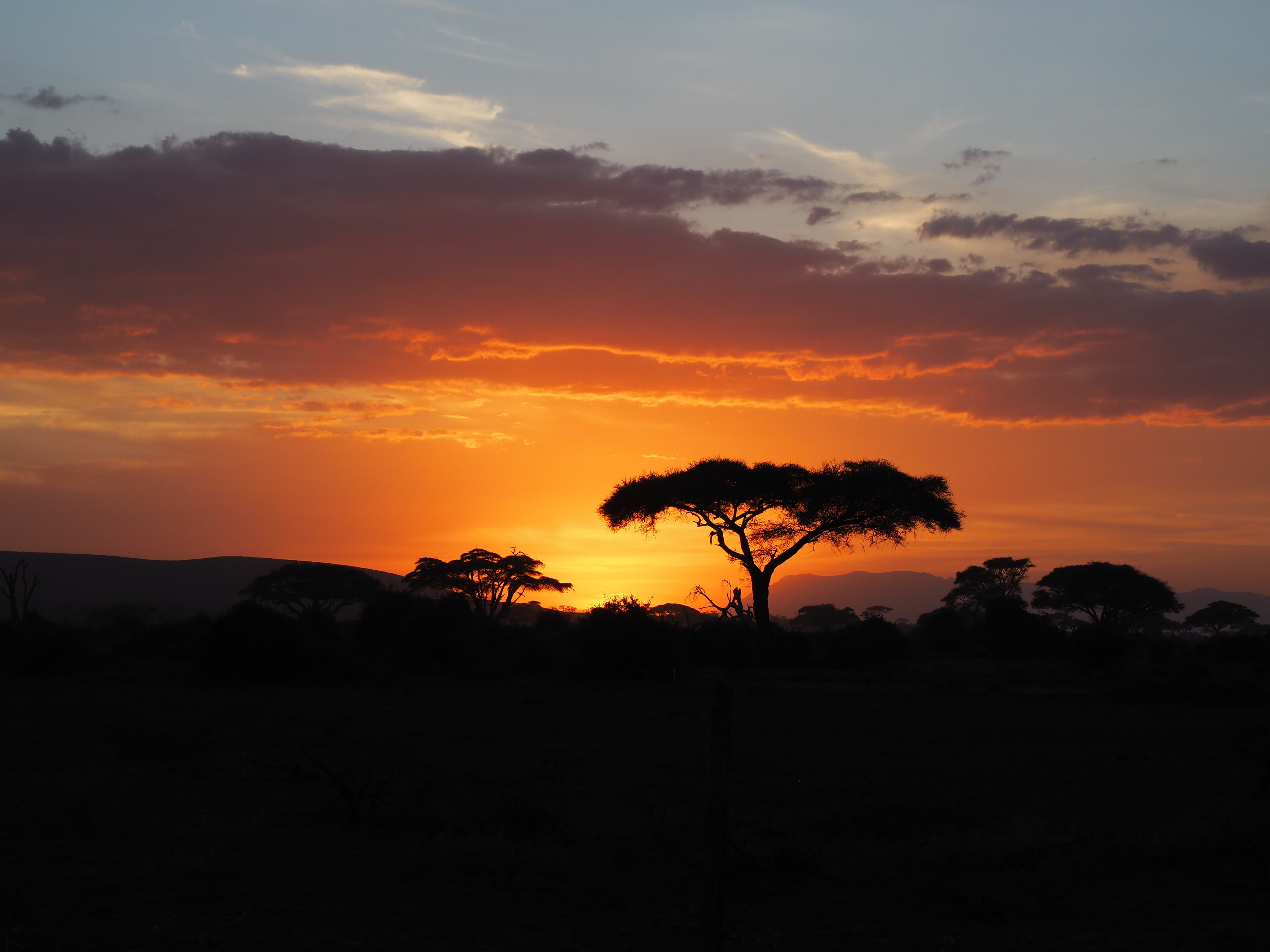 This image has an empty alt attribute; its file name is p8057884.jpg